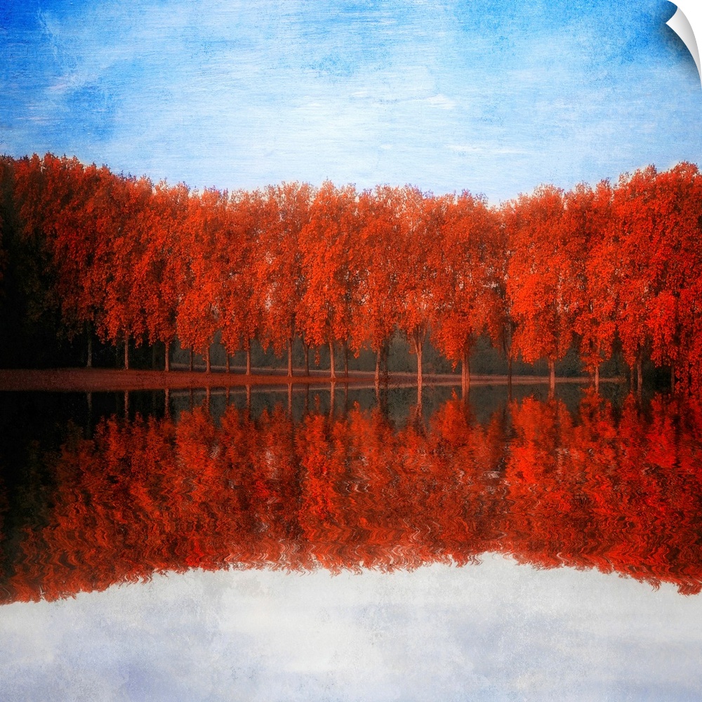 Reflections of red trees by a lake