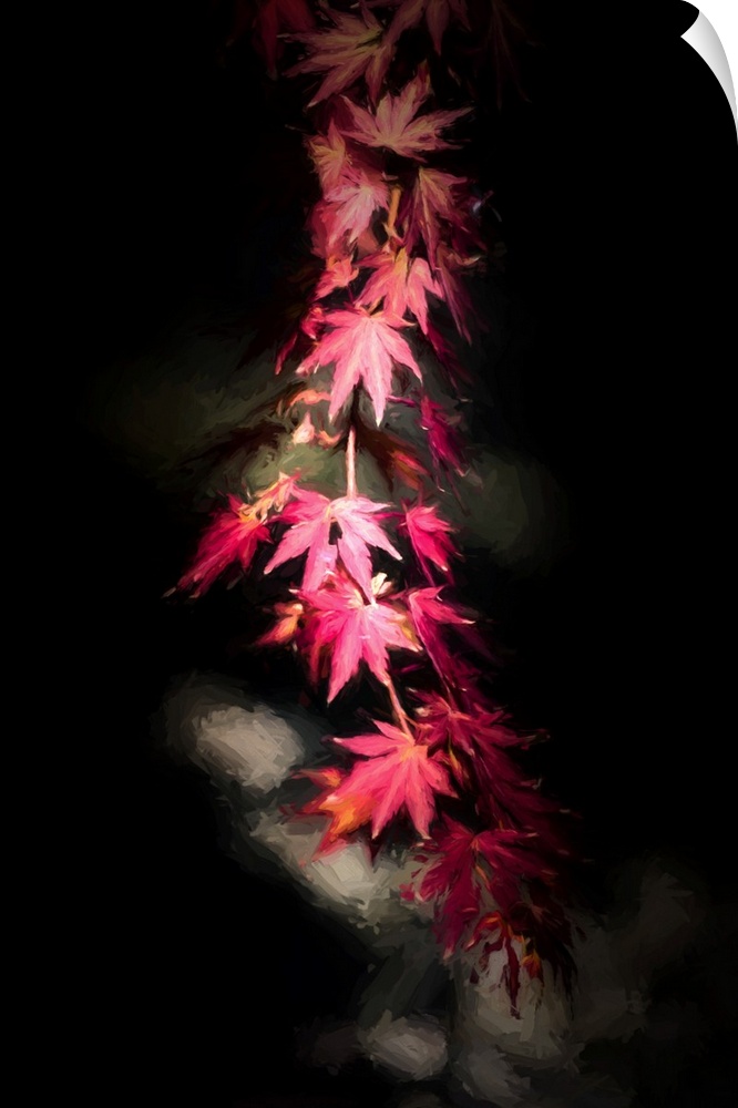 Dark photograph of red Japanese Maple leaves on a branch running from the top to the bottom of the canvas on a black backg...
