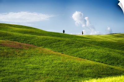 Rolling Hills with Cypress Trees, Tuscany, Italy