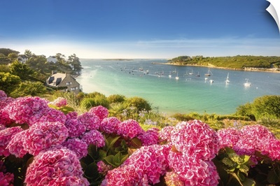 Saint Pabu In Brittany, Flowers And Summertime