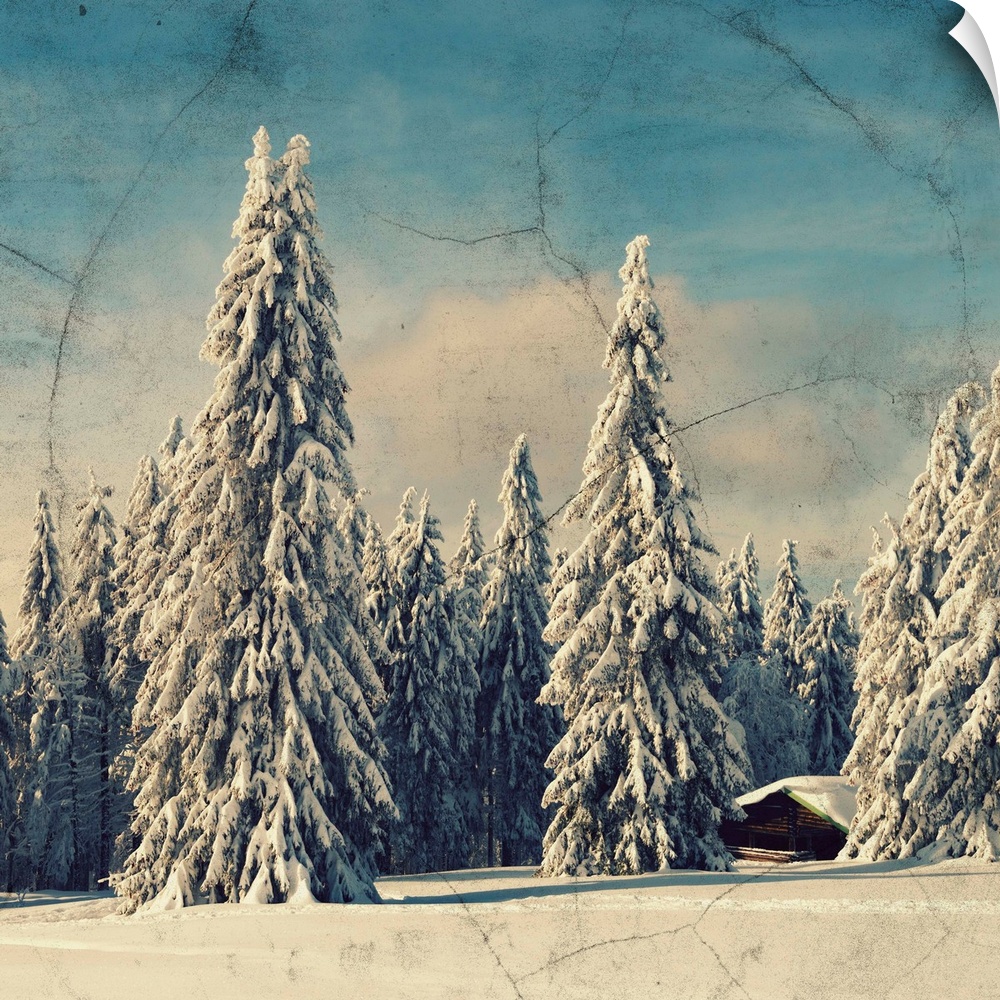A chalet surrounded by fir trees under the snow. Finished with a photo texture