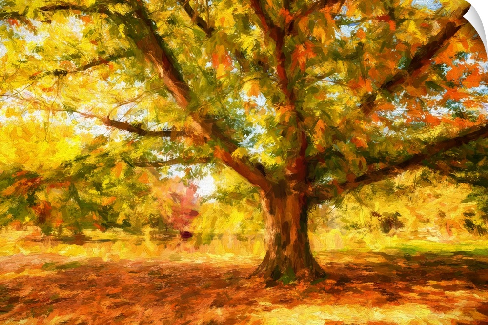 Expressionist photo or painterly effect on tree in autumn