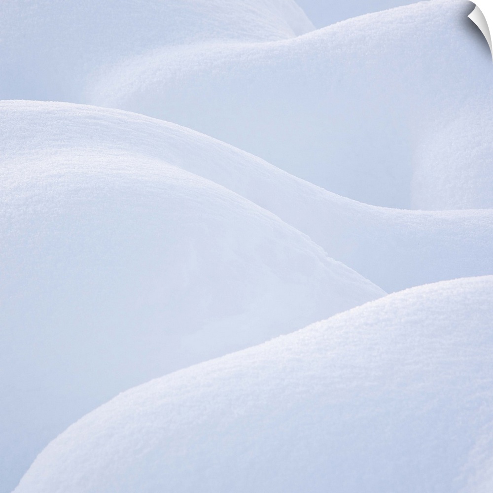 A natural abstract of curving forms in newly fallen snow.