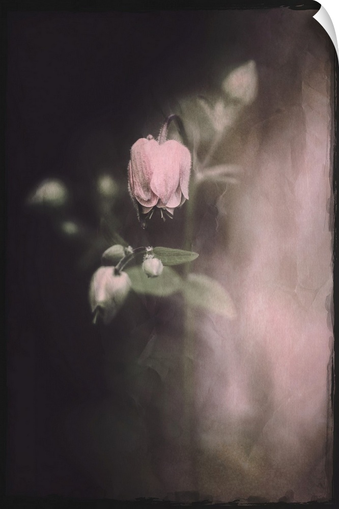 Small rose flowers with a photo texture