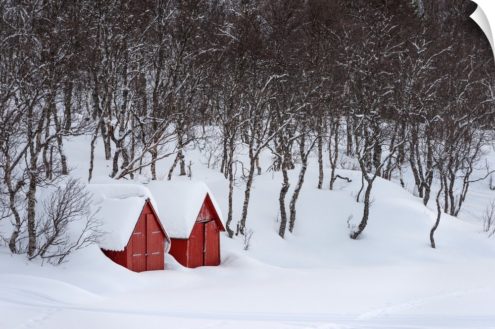 A photograph of two red houses under a thick blanket of snow.