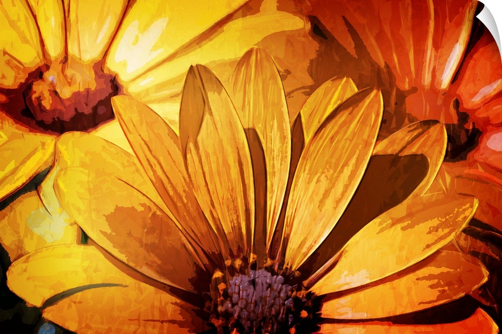 Artistic photograph of a close-up of yellow flowers.