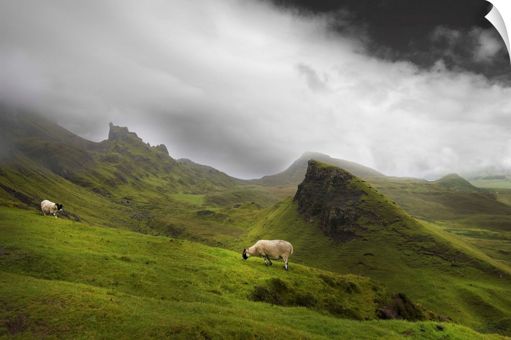 Fine art photo of a misty valley full of large rocky outcroppings with two grazing sheep.