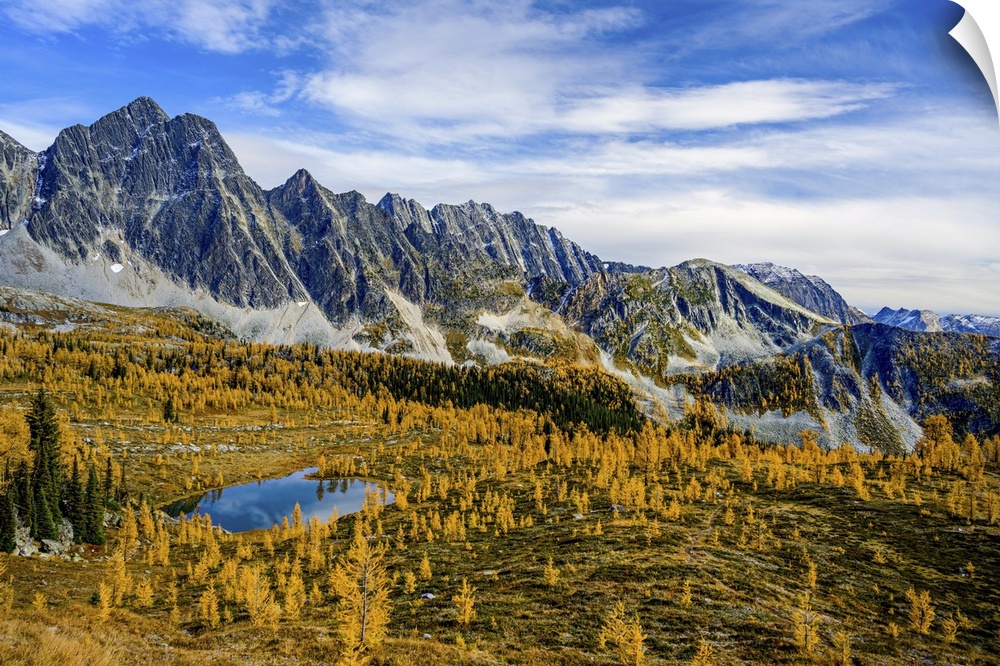 A small, very blue lake, in a high mountain meadow in fall.