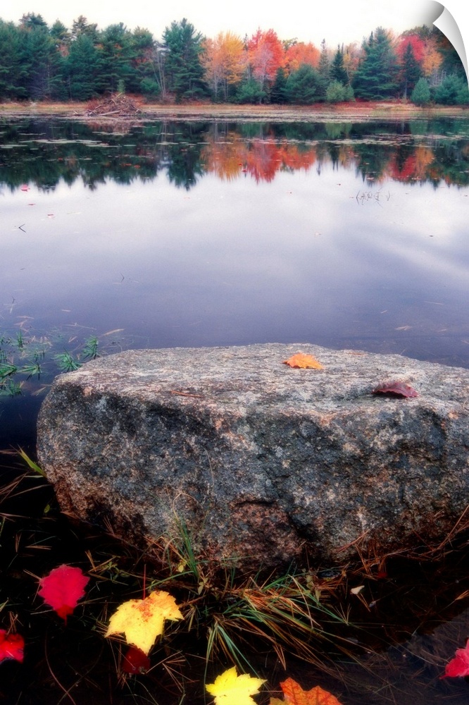 Photograph of huge rock in a pond surrounded by fallen autumn leaves with forest in the distance that is reflected in the ...