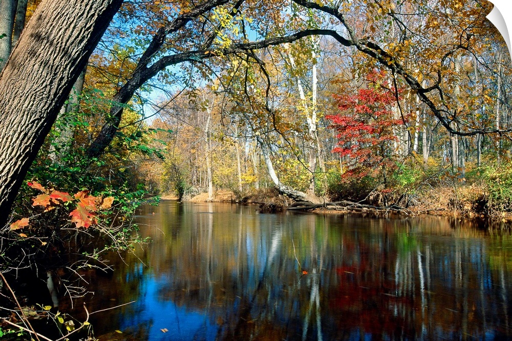 This landscape photograph is the Lamington River flowing through a forest in New Jersey in late autumn or early winter.