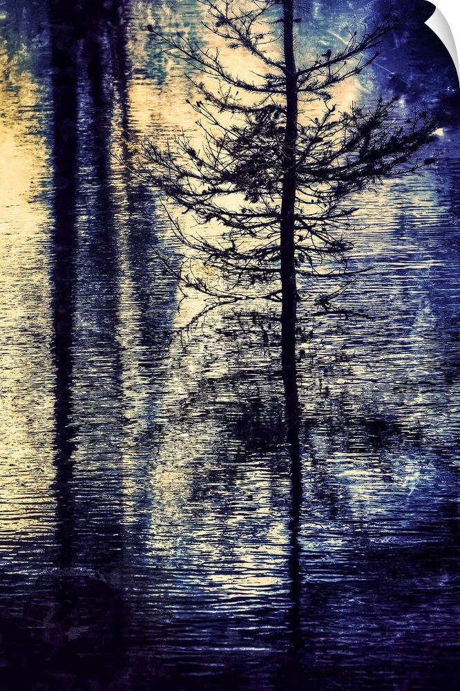 Dreamy photograph of a skinny tree reflecting into rippled water.