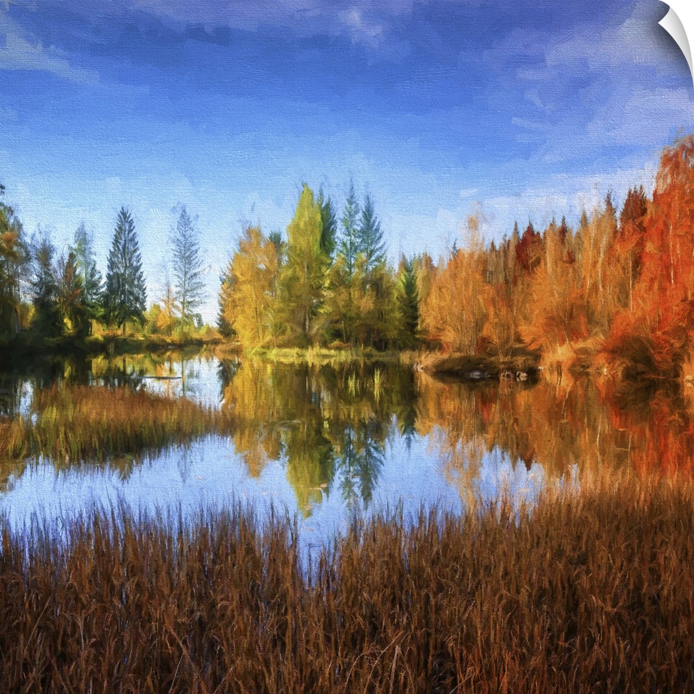A peaceful pond in the middle of a forest in fall colors under a deep blue sky.