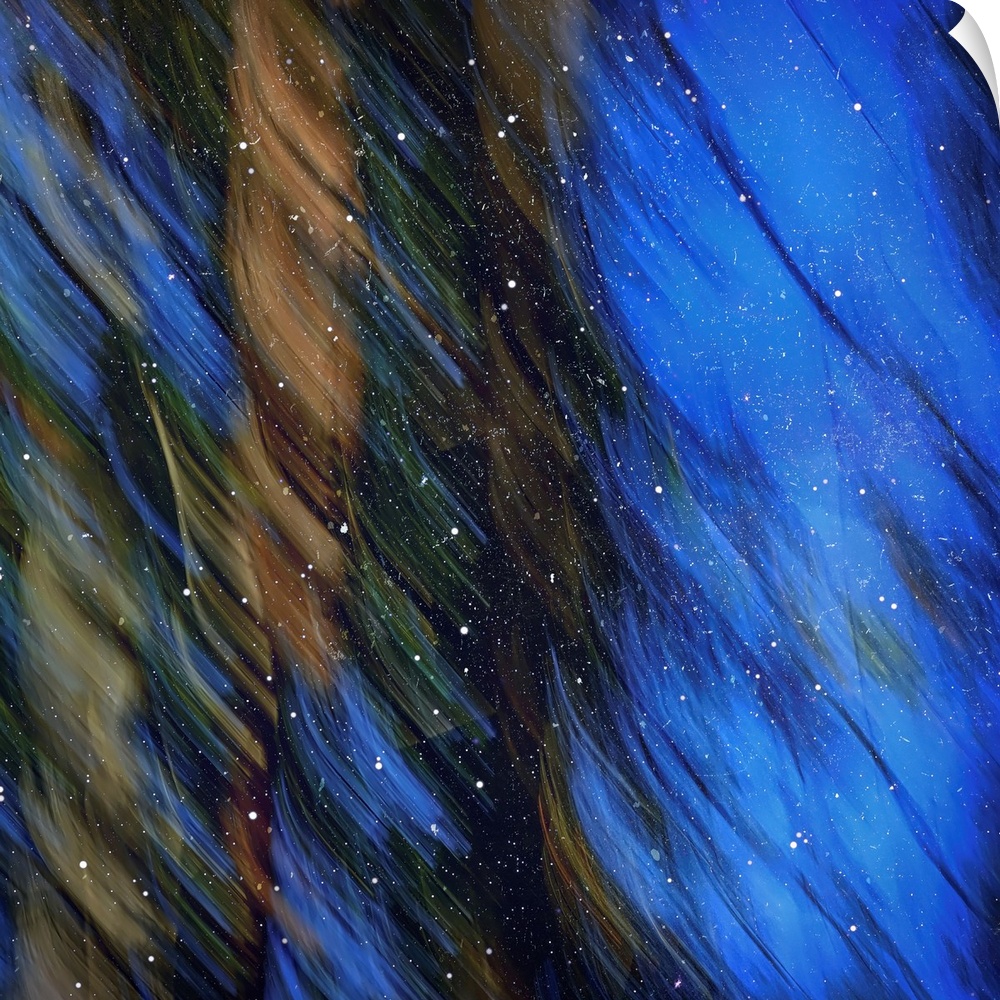 Abstract image of pine trees on a bright blue sky with wispy lines from motion blur and white stardust on top.