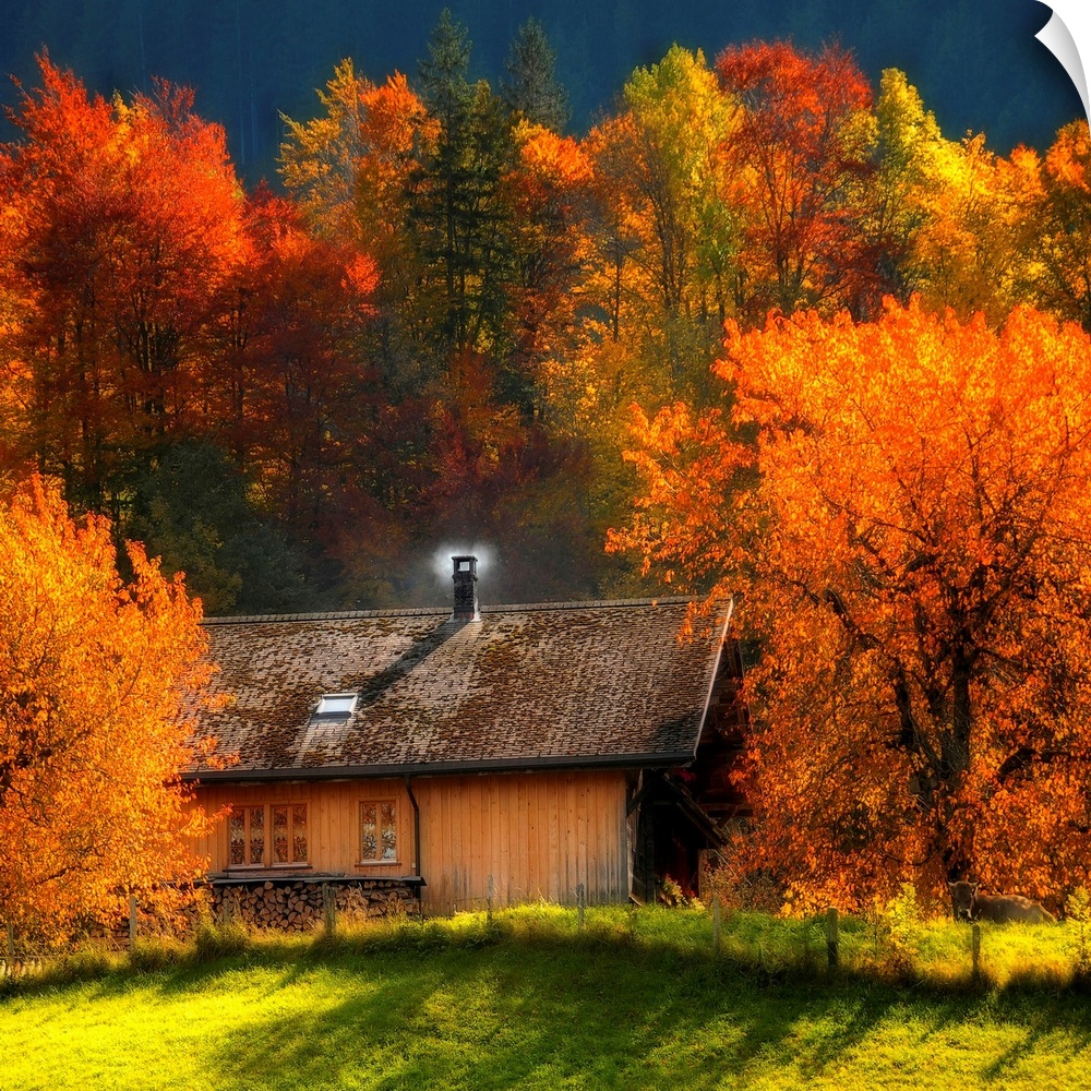 Big artwork of a cabin with a smoking chimney in the woods in autumn as the leaves turn to their fall colors.