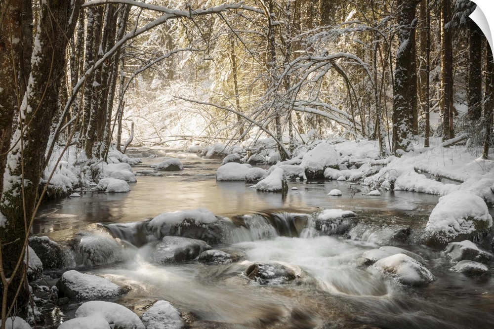 Photograph of a flowing river in the middle of the woods surrounded by snow covered rocks and trees.