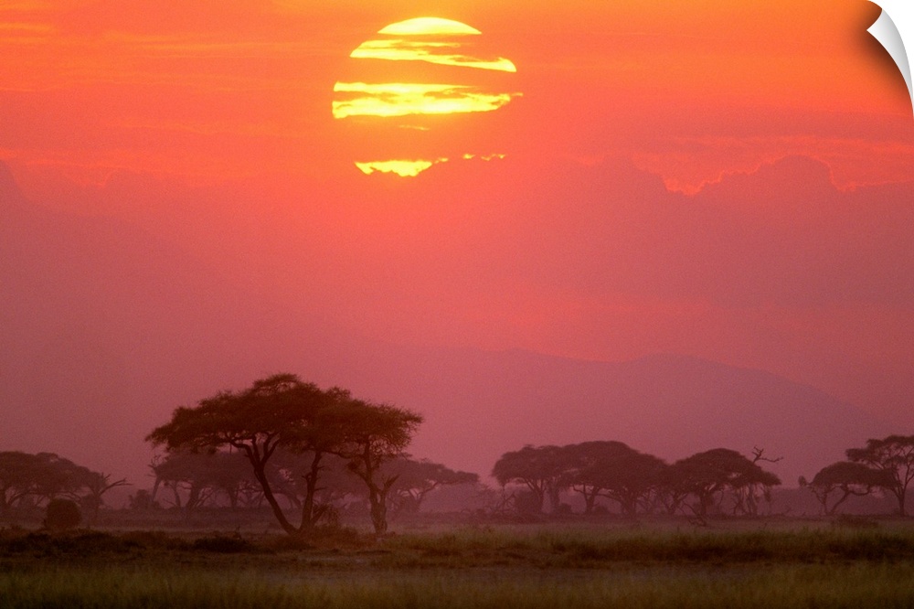 Landscape photograph of the sun setting behind streaky clouds, over a Savanna landscape or grasses and trees, in Amboseli ...
