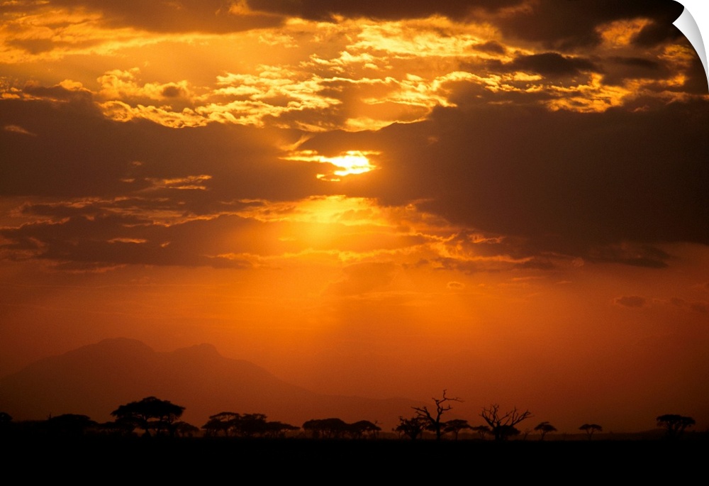 Savanna landscape, Amboseli National Park, Kenya