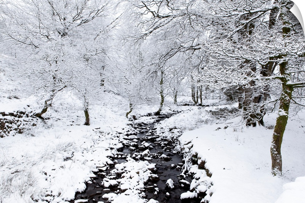 A stream in winter in heavy snow with trees covered in snow.