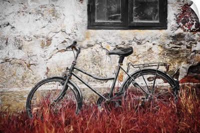 The Forgotten Bike