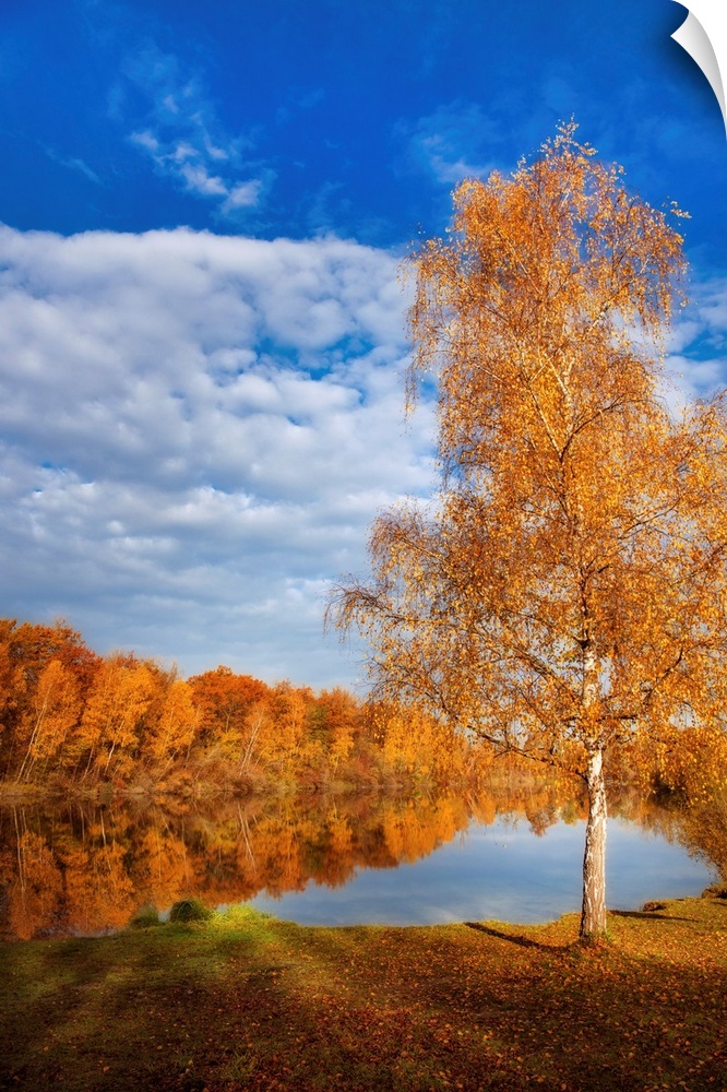 Autumn landscape with trees around a lake under a blue sky