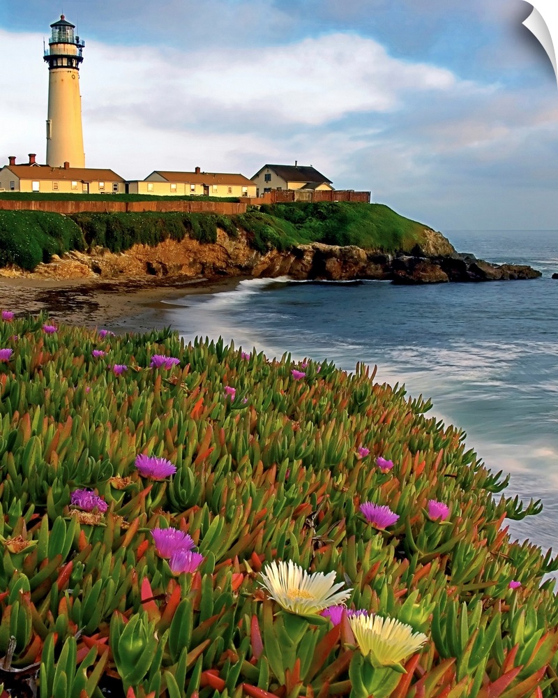 Photograph of a field of flowers at the base of a lighthouse sitting on the cliff overlooking the ocean.