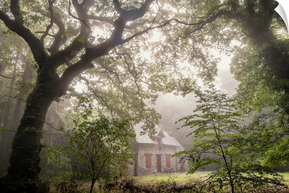 A house hidden in a misty forest.