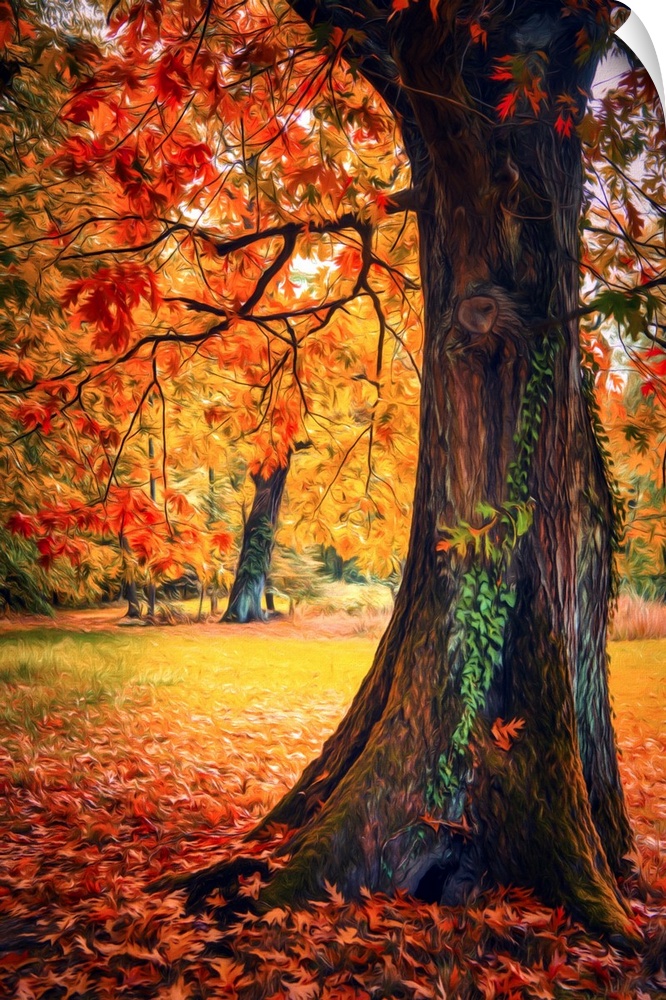 Photo Expressionism - Trees in autumn with a tree trunk in the foreground.