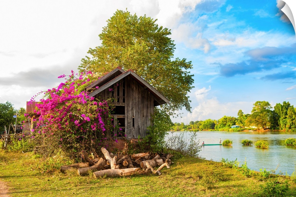 A hut with a bougainvillea in an Asian landscape