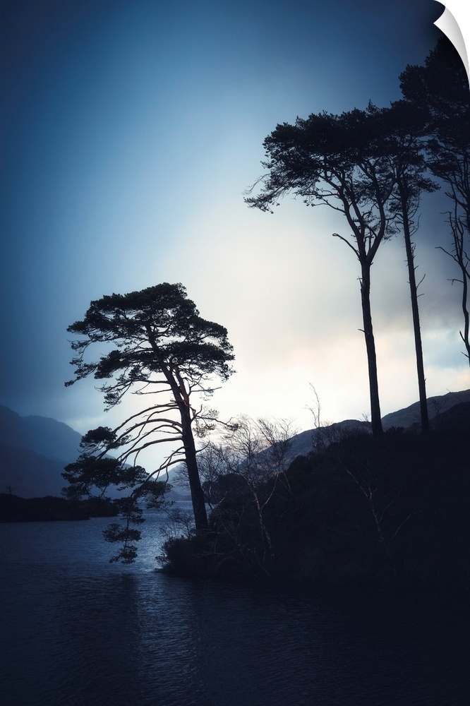 Tree silhouettes alongside a lake in Scotland