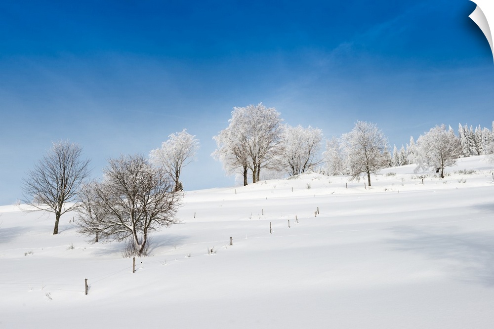 A field covered in snow in the winter under a bright blue sky.