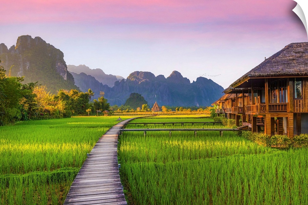 A pontoon crosses a rice paddy in Laos