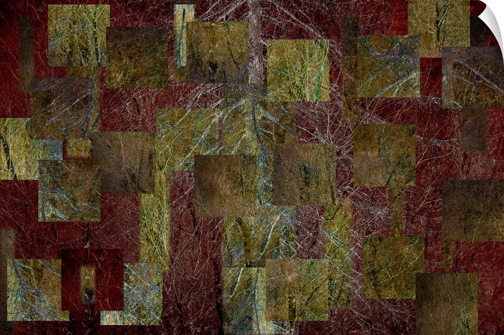 A tessalated deep crimson red and golden yellow gold abstract of autumn fall silver birch trees.