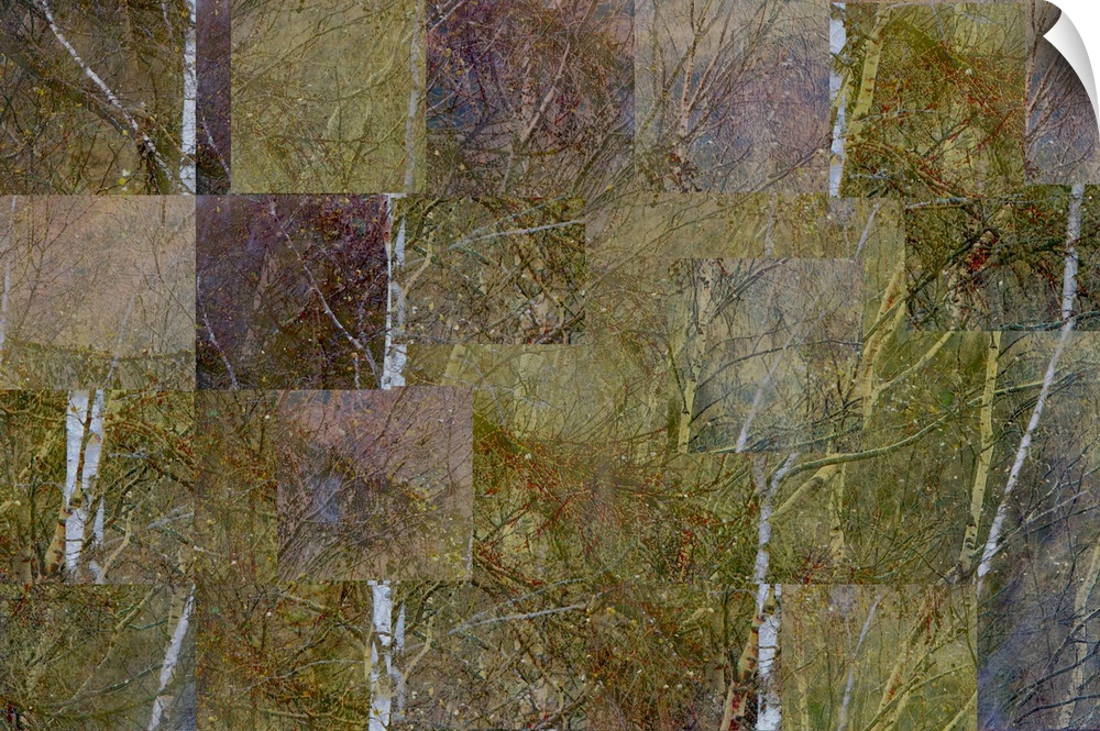 A tessalated golden yellow gold abstract of autumn fall silver birch trees.