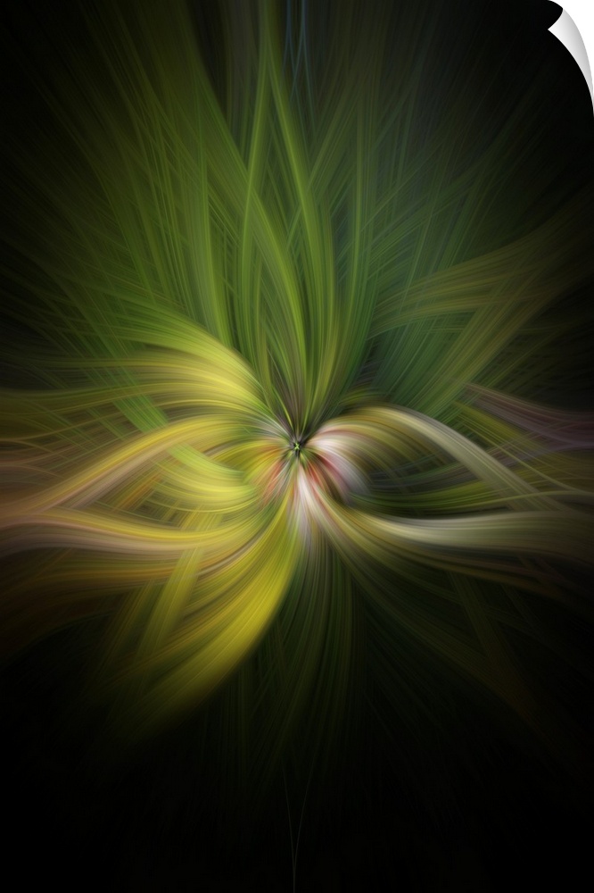 Abstract Photography created using photographic manipulation