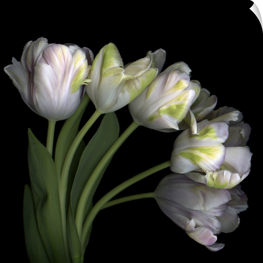 Pale pink tulip bouquet
