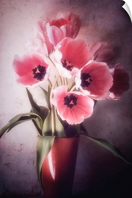 Tulip Bouquets
