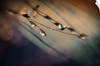 Two Droplets