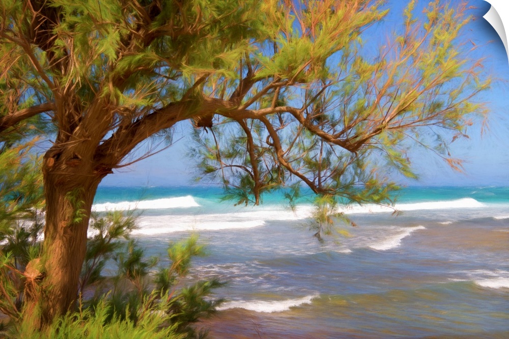 A photograph of a beach seen through the underside of a trees hanging branches.