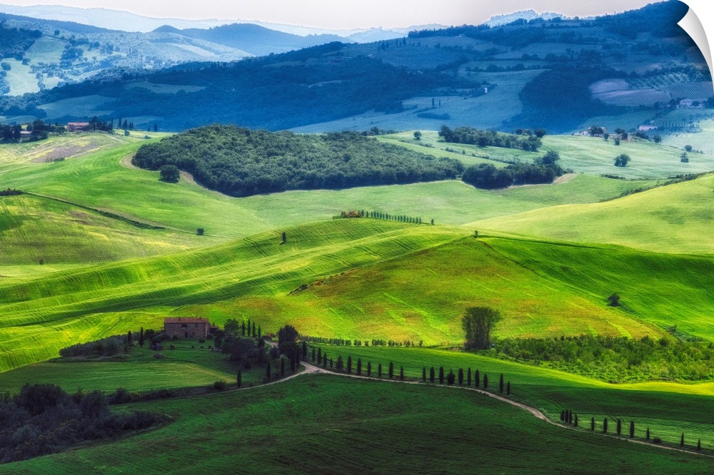 Rolling hills with farms, Val d'Orcia, Tuscany, Italy.