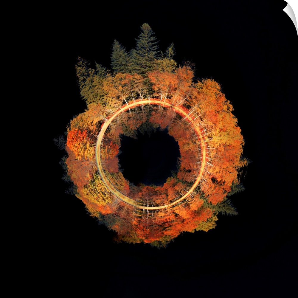 Conceptual square photograph of an Autumn tree line wrapped in a circle on the center of a black background.