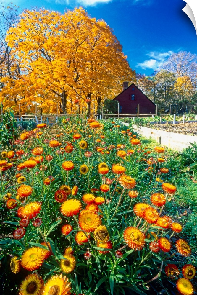 Vertical View of a Fall Garden, Vicks Historic Farm, Jockey Hollow State Park, New Jersey