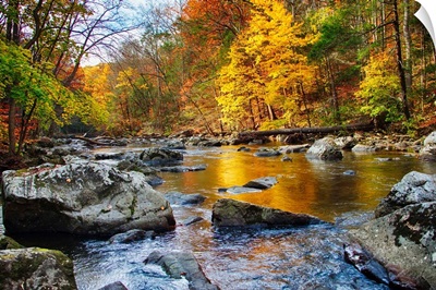 Vibrant Hues Of Autumn, New Jersey