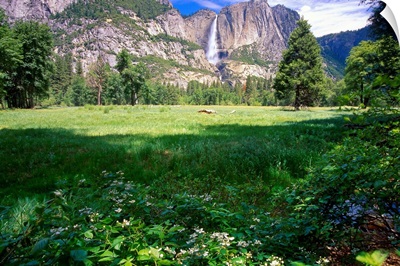 View of the Yosemite Valley and Falls, California