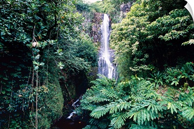 Wailua Falls, Road To Hana