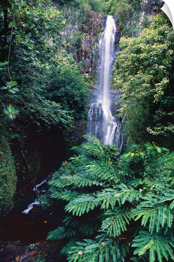 Wailua Falls on the road To Hana, Maui, Hawaii.
