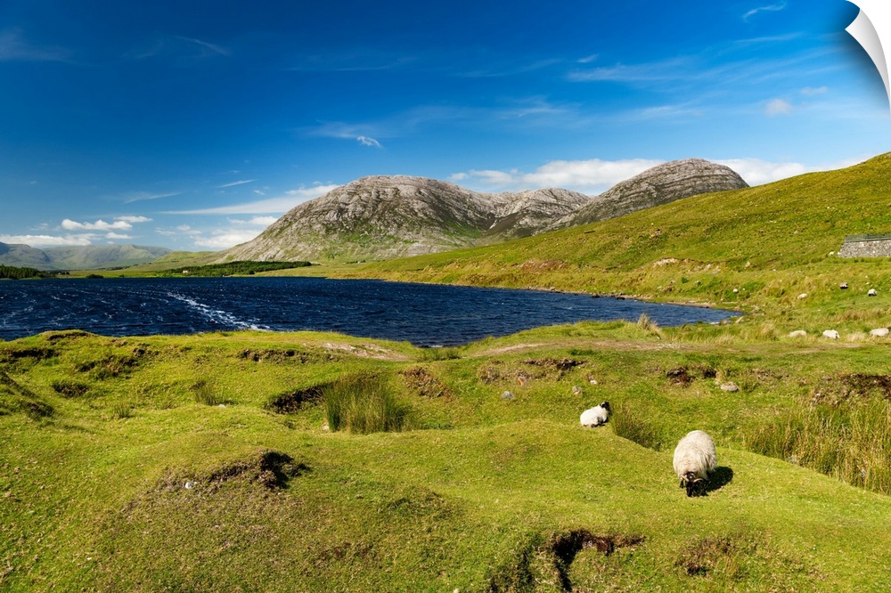 Natural landscape in Ireland with lake and mountains