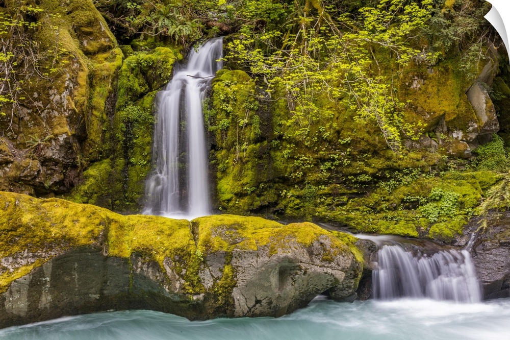 A small waterfall pours into the Ohanapecosh River, Washington