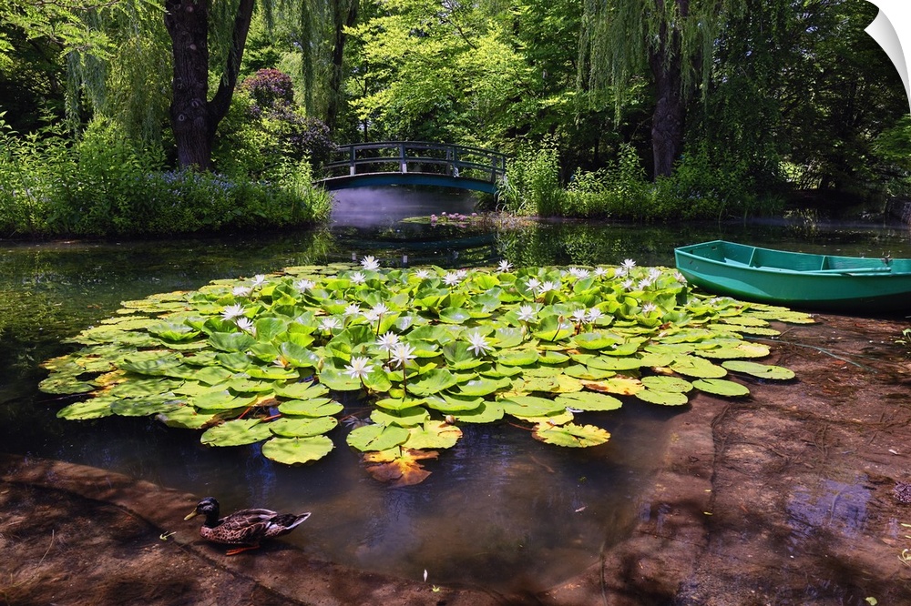 A photograph of a pond with lily pads sitting on the surface of the water.