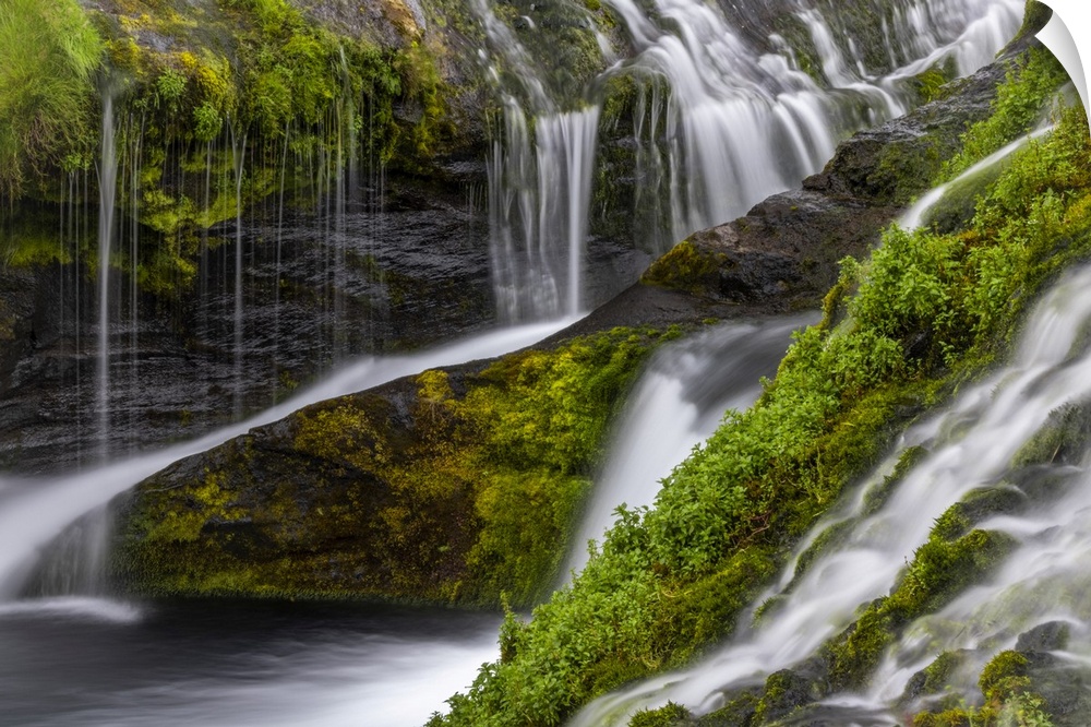 Small waterfall flows over mossy rocks, Iceland