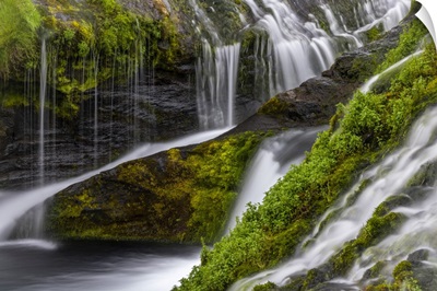 Waterfall And Moss, Iceland
